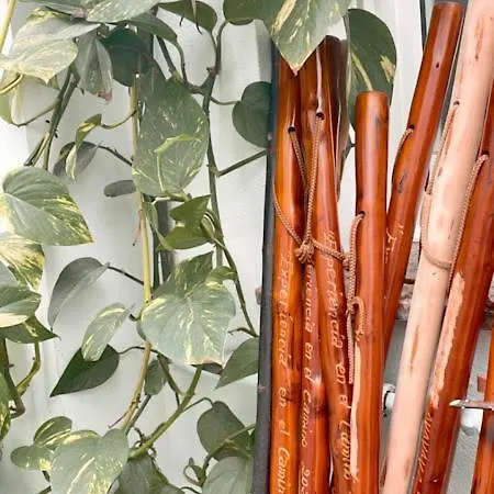 Casa Pazos, 게스트하우스 피에드라피타