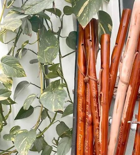 Casa Pazos, Πανσιόν Pedrafita do Cebreiro